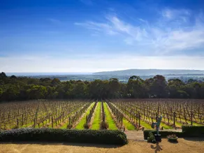 Harry's Red Hill - Image 3