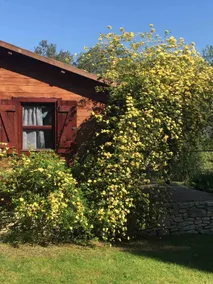 cottage in Provence near l'isle sur sorgue - Image 5