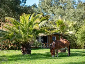 Cottage close to everything with peace of mind - Image 4