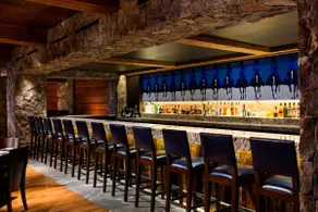 Ritz Carlton Luxury 2BR: Ski-in/out + W/D - Image 3