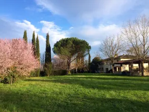 La Felce Country House - Image 3