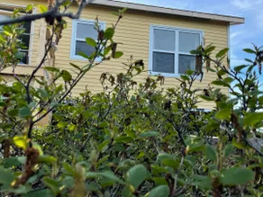Salmon Cove Cabin: Hot Tub, Sauna,Hiking, fishing. - Image 3