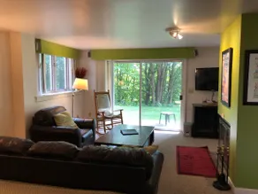 Clean, Modern 2 BR Condo Nr. Mtn Rd - Image 3