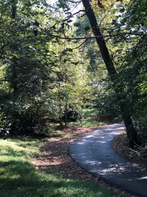 Cottage On Beech Haven, 2.8 miles to UGA Campus - Image 2