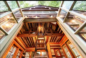 Alpaca Treehouse in the Bamboo Forest - Image 2