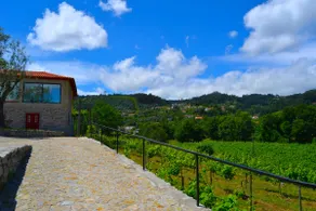 Quinta do Olival - Adega do Buraco House - Image 3