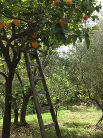 Chalet al Ponte - Image 5