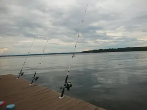 Lakeside Cabin, fish from dock with sunset views! - Image 5