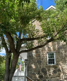 Mello-Ray River House - Image 5