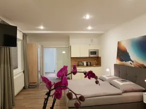 Echt Heimat Apartment ”Edelweiss” - Image 3