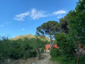 House in the countryside to disconnect in Madrid. Animals - Image 4
