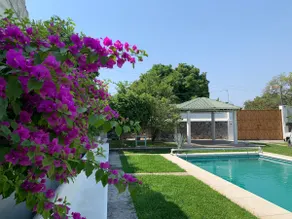 Casa Blanca Paradise - Image 4