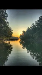 Woodland Cottage on the Cove - Lake Hamilton - Image 3
