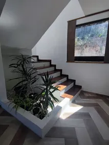 Casa Desau Mexico. Modern and comfortable in the woods - Image 4