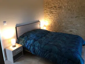 Olive tree cottage 10 minutes from Sarlat-la-Canéda - Image 4
