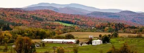 Peaceful + Cozy Farmhouse Near Jay Peak + Sutton - Image 3