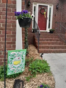 2027 Masters Rental - Image 2