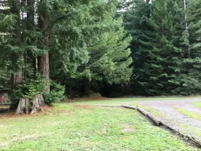 Cozy Cottage near Eureka - Image 2