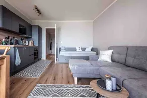 Cozy apartment Brčalnik - Image 4