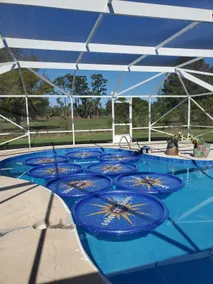 Guest suite w/ private entrance! - Image 5