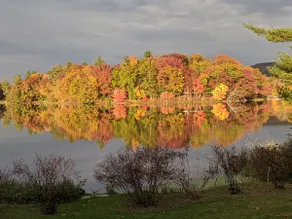 Relaxing, cozy Hudson Valley/Berkshires escape - Image 5