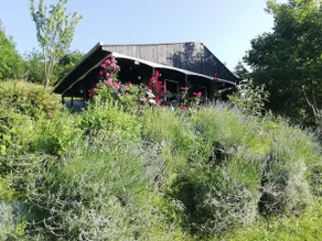 Baranja Black Hill's Romantic Cottage with a View - Image 3