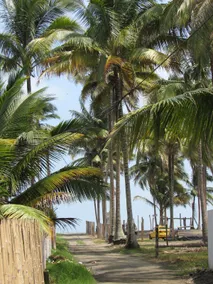 Cojimíes, El Carrizal - The house of my dreams. - Image 5