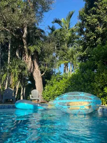 Gables Miami Home with HEATED SALT POOL. Near Beaches, Airport and Night life - Image 5
