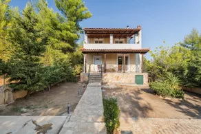 Amira's Playhouse - Image 2