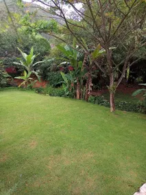 Farm in Domingos Martins - Image 3
