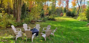 Forest Chalet • Private Spa & Sauna • Quiet - Image 4