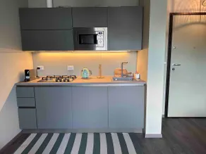 The Green House / Renovated two-room apartment - Image 4