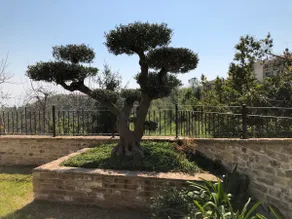 L'Ulivo nel Borgo B&B - Image 2