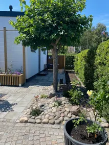 Bright, modern, small guest house - Image 2