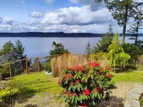Island Paradise:Off-Leash Yard, Starlink & Sunsets - Image 3