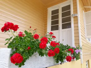 ”Recanto das Ovelhas” - Country house - Image 3