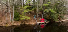 Riverside Gravenhurst cottage. Waterfront w/ sauna - Image 2