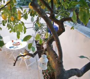 ”Welcome in a private garden!” - Image 3