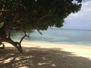 Villa Nirvana: Your luxury home away from home - Image 2