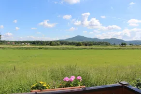 If you love nature, this is the place to be - Image 2
