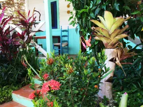 Casa Ylang-Ylang, Playa Encuentro - Image 4