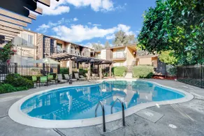 888 Neu gestalten Luxus Apt Saratoga, Cupertino, Sunnyvale, Campbell, Santa Clara um - Image 4