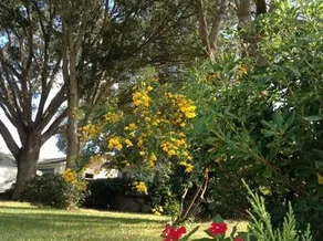 Looking for Relaxation.25 minutes from Disney. - Image 3