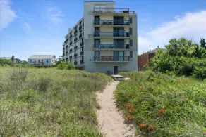 See dolphins from this Lg beachfront condo - Image 3