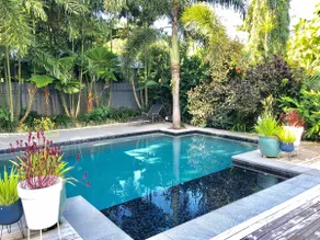 Tropical Bliss - Image 2