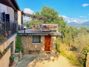 Bas de villa au milieu des oliviers. - Image 3