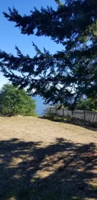 Wilkinson Cliff House - Image 3