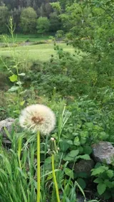Little slice of heaven in the heart of Ardèche - Image 5