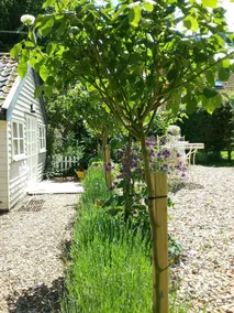 Shingle Lodge - Image 3