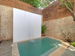 Casa Sweet Pea, Bright and Stylish in Centro - Image 2
